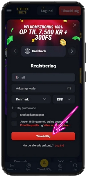 Lamabet registreringsproces