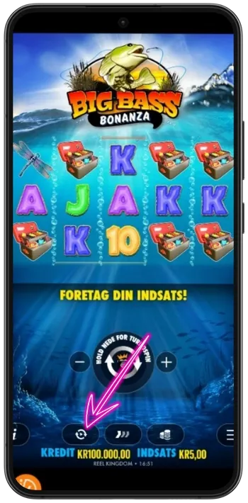 Big Bass Bonanza Aktiver autoplay