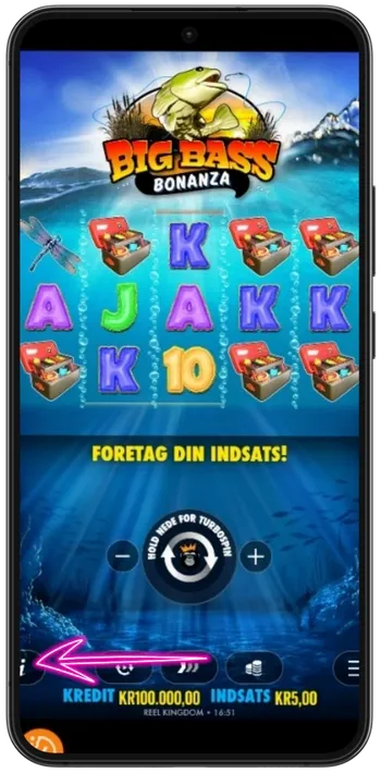 Big Bass Bonanza Åbn betalingstabel