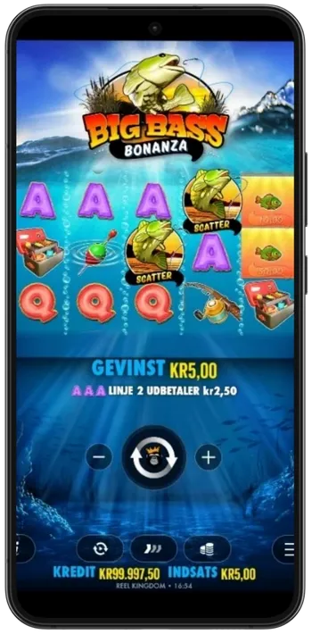 Big Bass Bonanza vinder